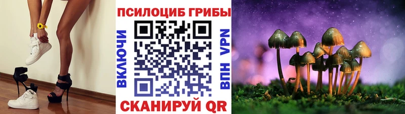 Псилоцибиновые грибы Cubensis  Кумертау 